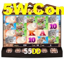 55DD,55dd.com